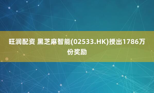 旺润配资 黑芝麻智能(02533.HK)授出1786万份奖励