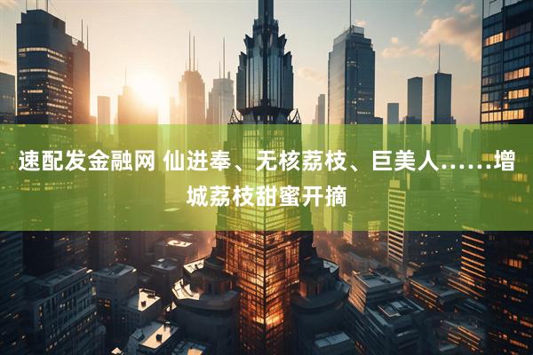 速配发金融网 仙进奉、无核荔枝、巨美人……增城荔枝甜蜜开摘