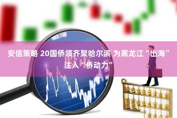 安信策略 20国侨领齐聚哈尔滨 为黑龙江“出海”注入“侨动力”
