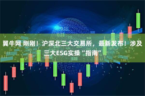 翼牛网 刚刚！沪深北三大交易所，最新发布！涉及三大ESG实操“指南”