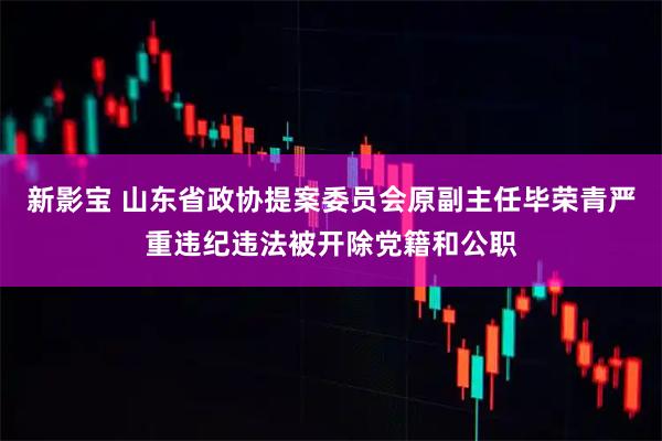 新影宝 山东省政协提案委员会原副主任毕荣青严重违纪违法被开除党籍和公职