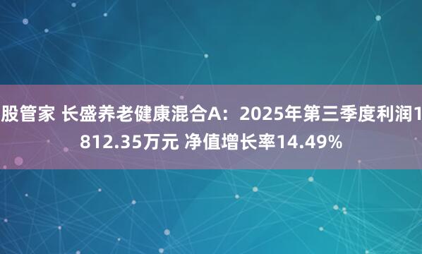 股管家 长盛养老健康混合A：2025年第三季度利润1812.35万元 净值增长率14.49%