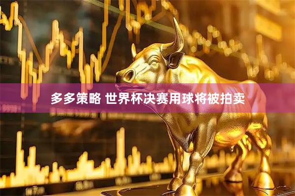 多多策略 世界杯决赛用球将被拍卖